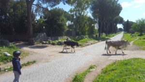 Tour sull'Appia Antica in e-bike